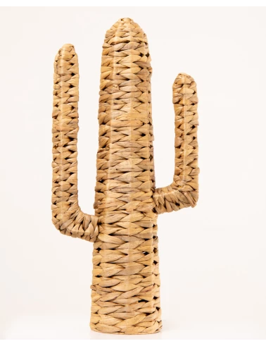 CACTUS T2