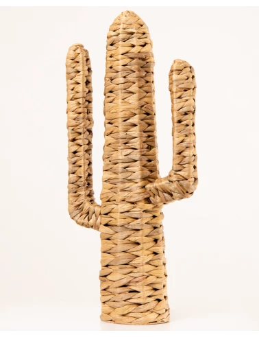 CACTUS T2