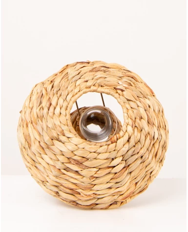 Champignon photophore