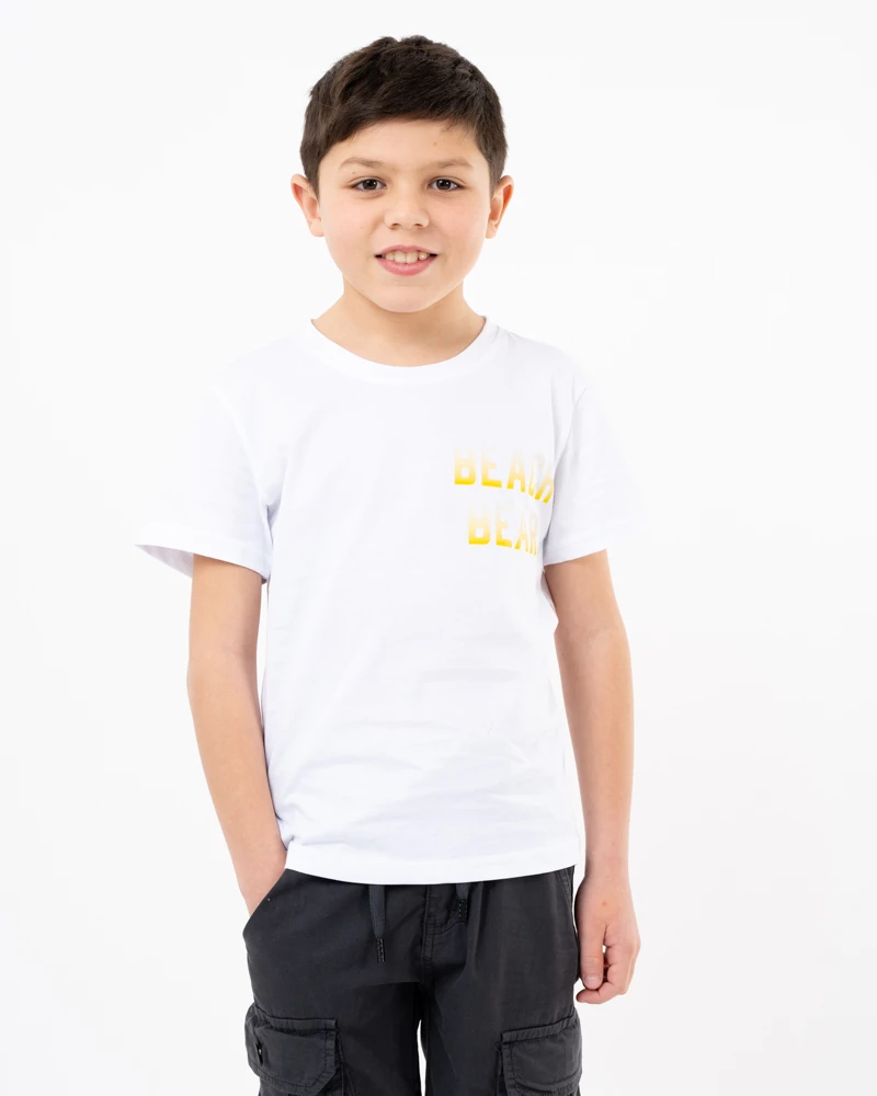 T-shirt bear beach