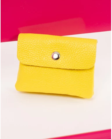 Porte cartes