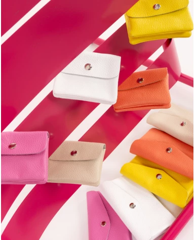 Porte cartes