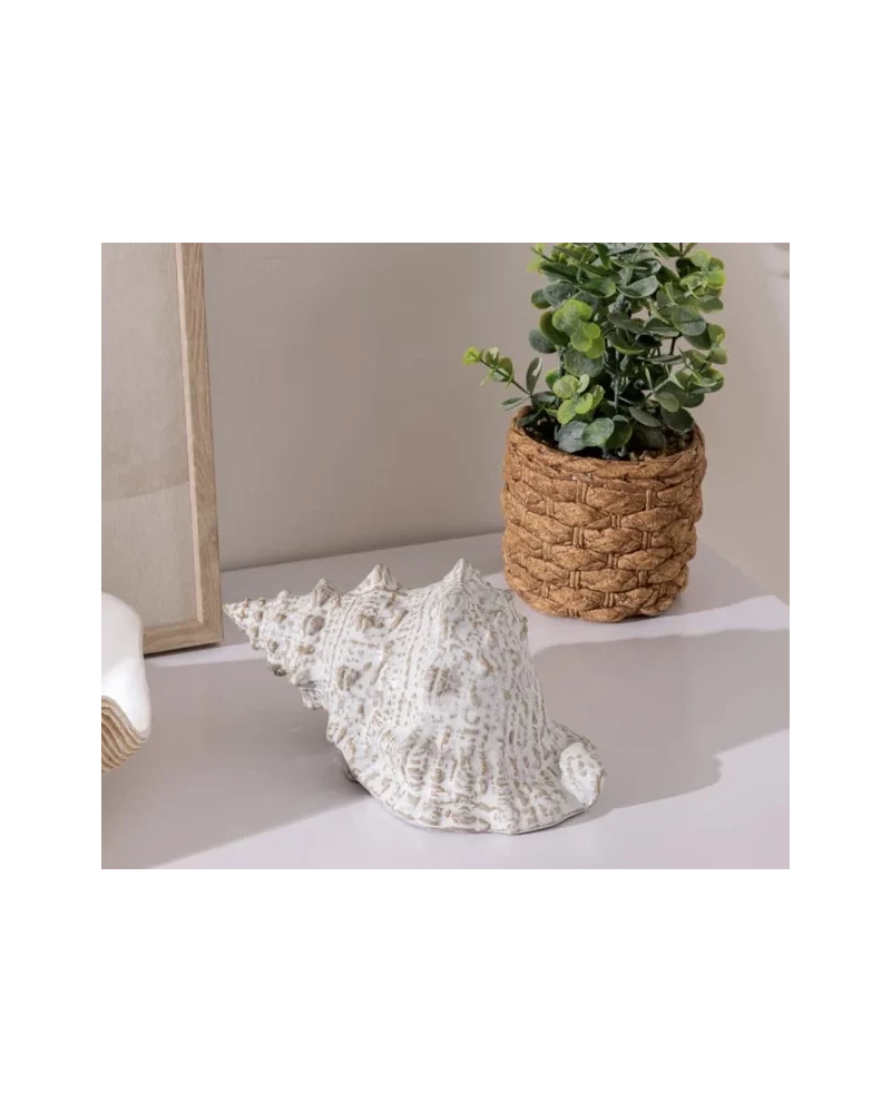 Pot eucalyptus
