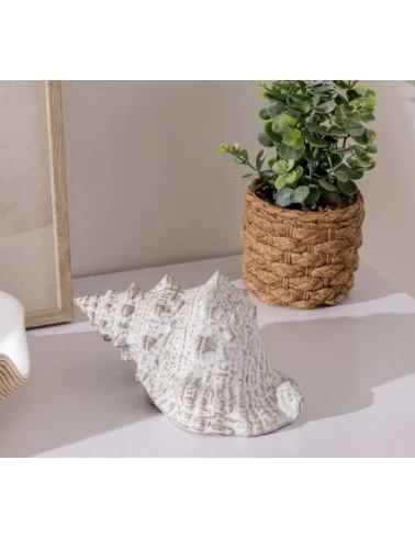 Pot eucalyptus