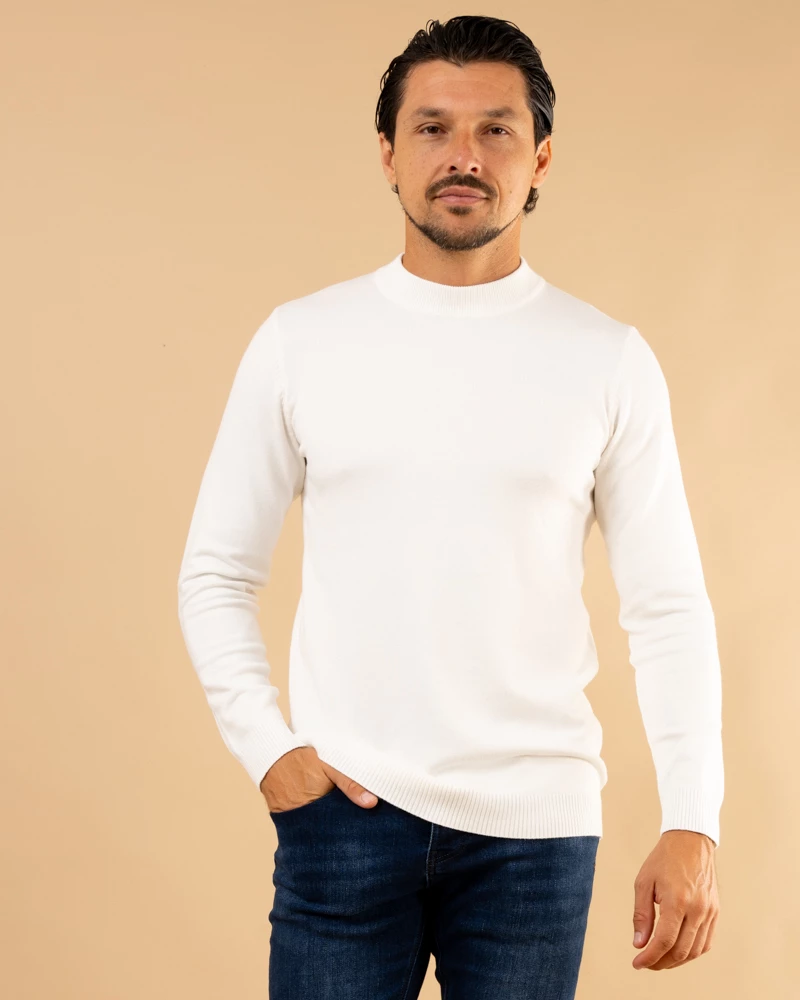 Pull col montant