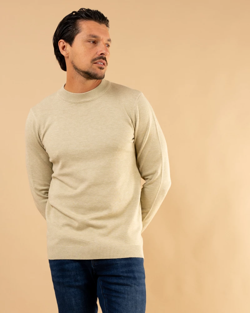 Pull col montant