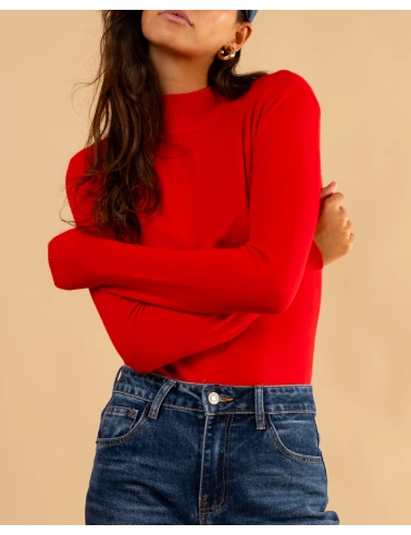 Pull col montant