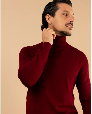 Pull col roulé