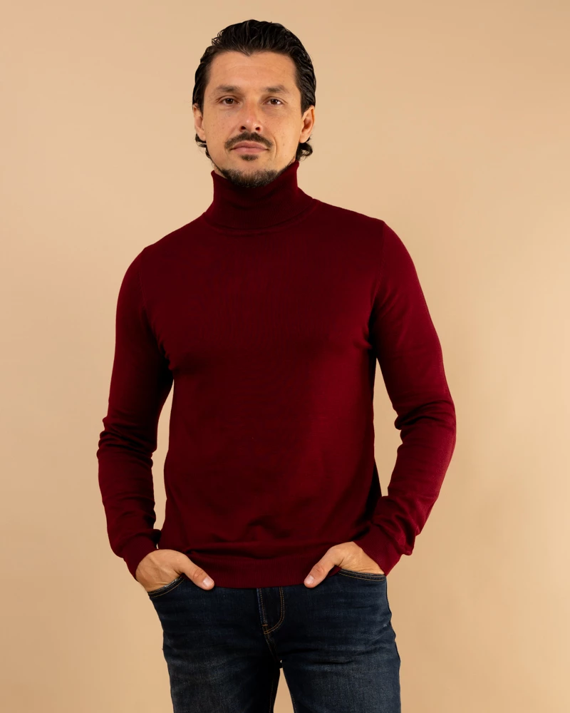 Pull col roulé