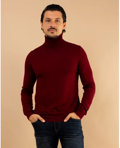 Pull col roulé