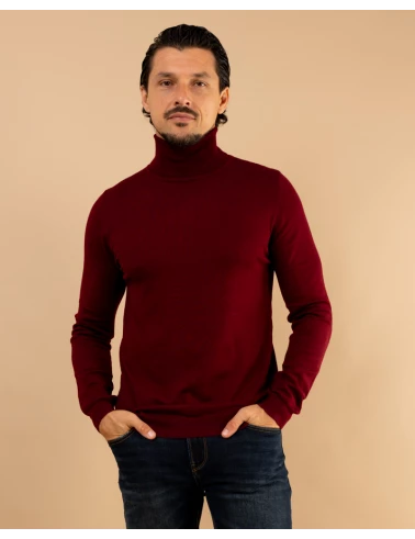 Pull col roulé