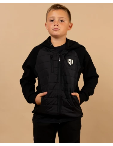 Veste icon