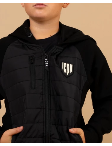 Veste icon