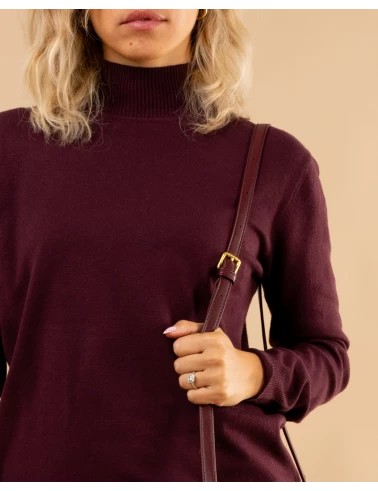 Pull col montant