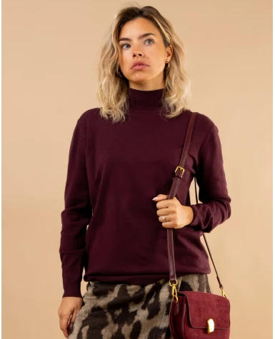 Pull col montant