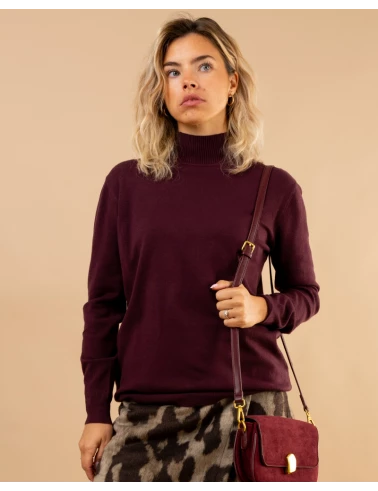 Pull col montant
