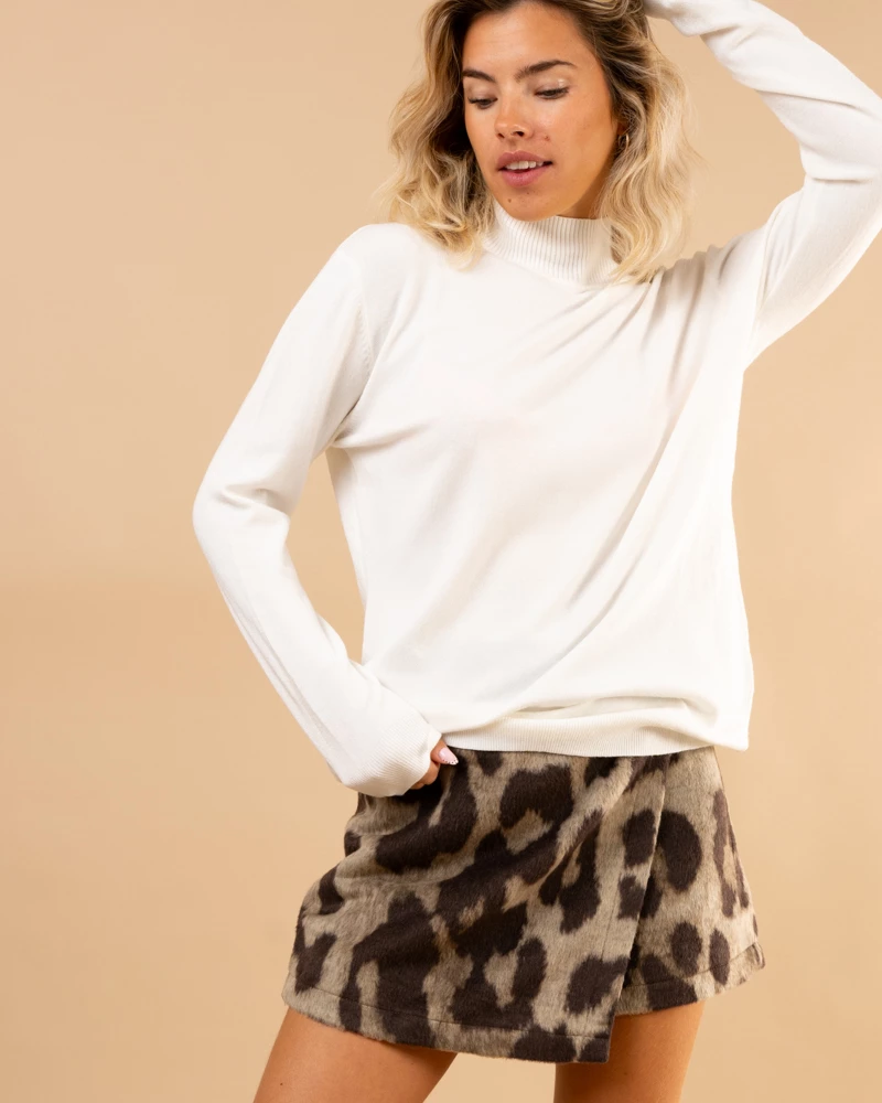 Pull col montant