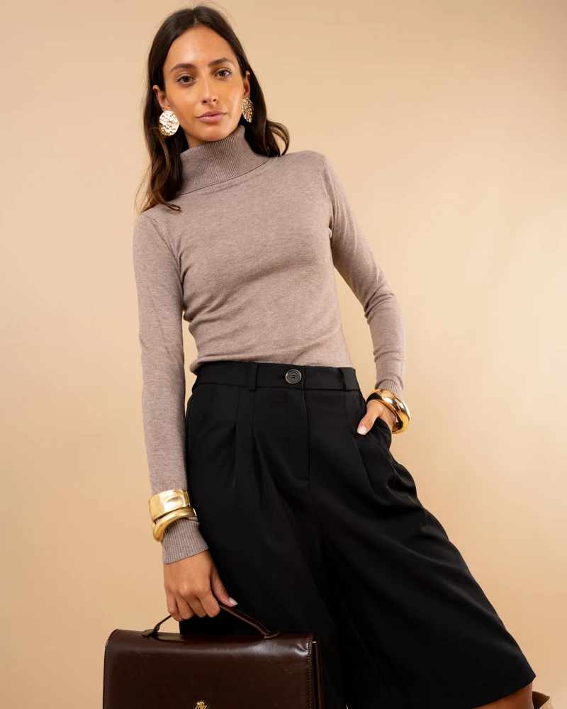 Pull col roulé