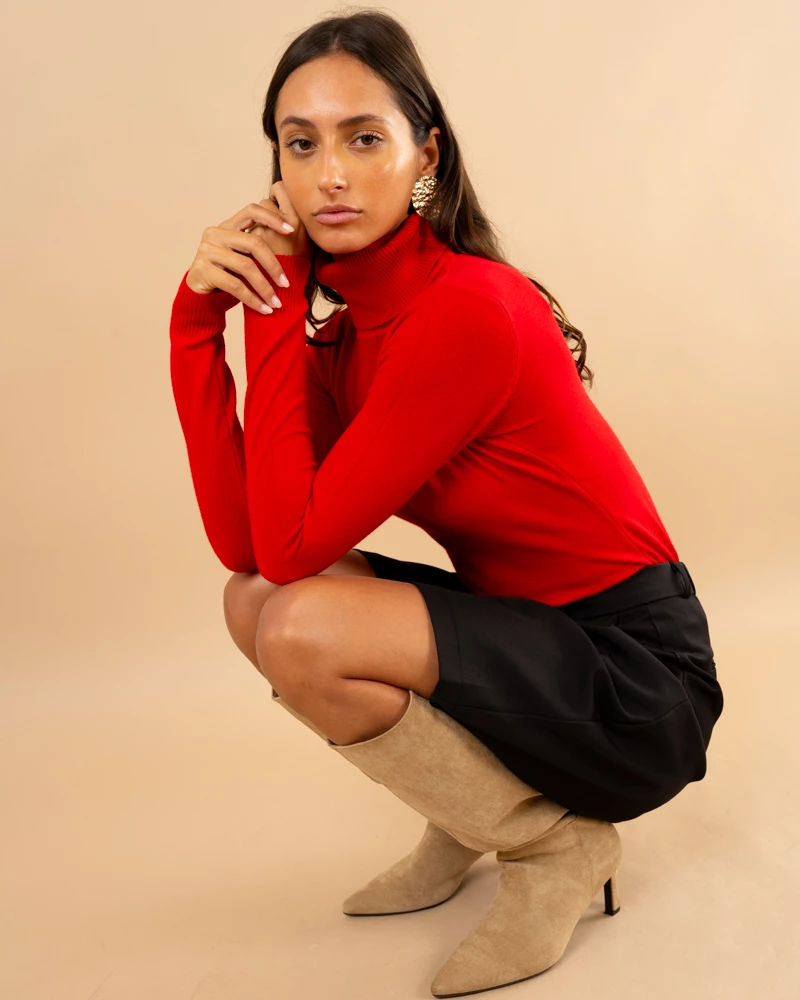 Pull col roulé