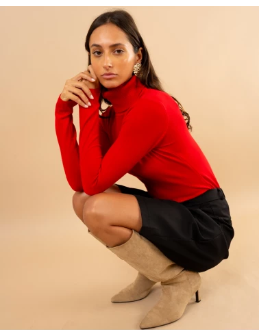 Pull col roulé