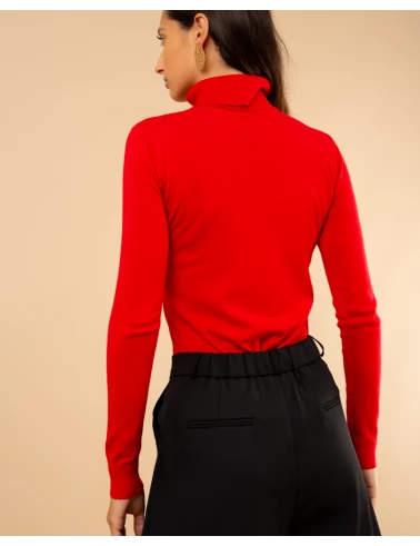 Pull col roulé