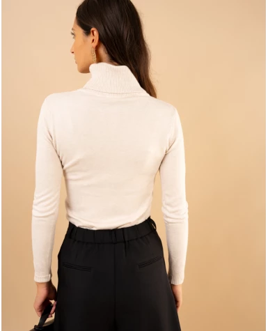 Pull col roulé
