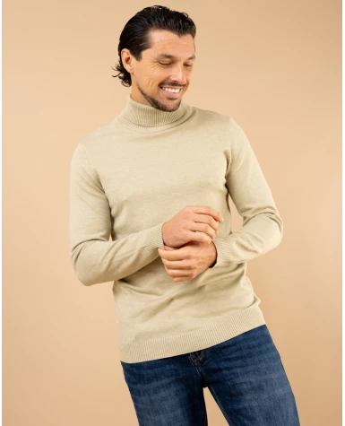 Pull col roulé