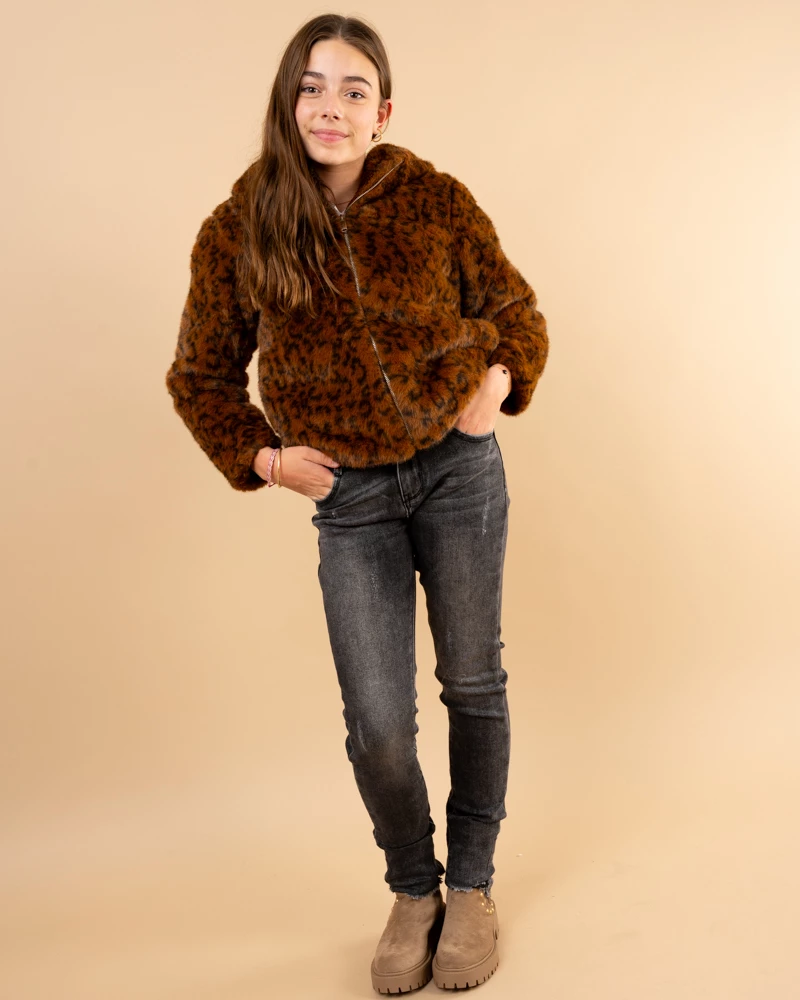 Jean gris