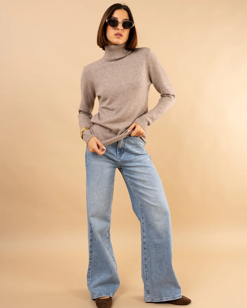 Pull col roulé