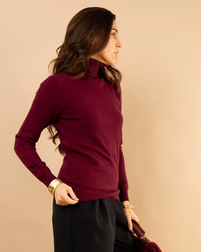 Pull col roulé