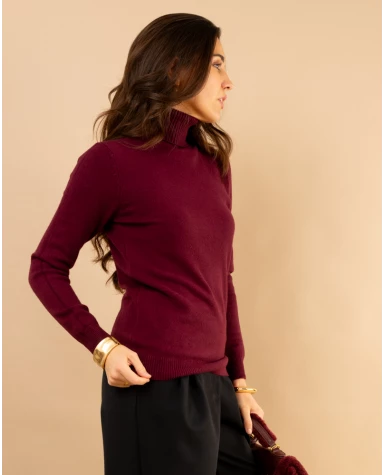 Pull col roulé