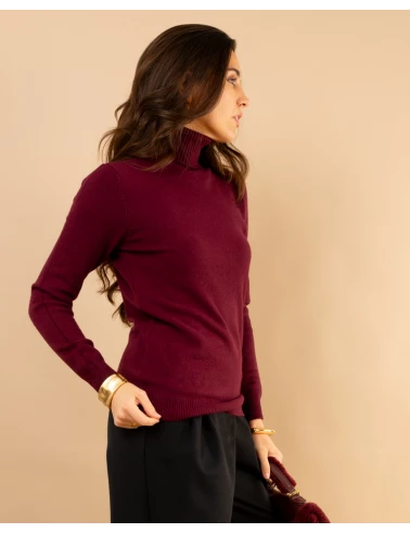 Pull col roulé