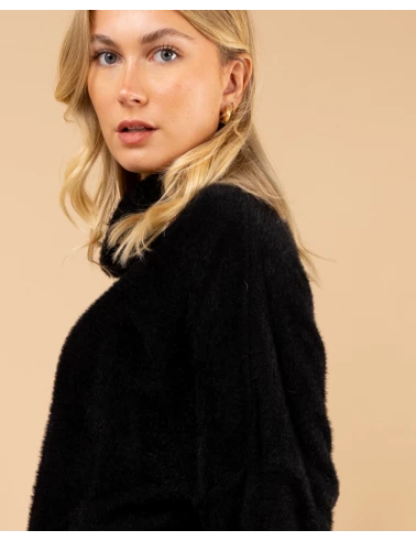 Pull col roulé angora
