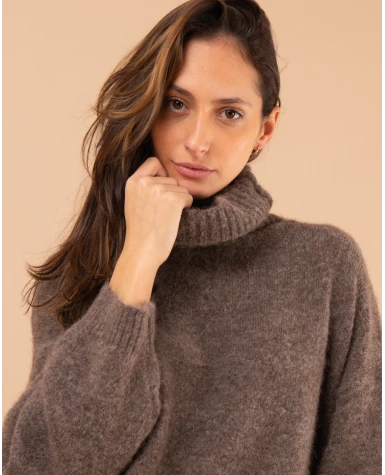 Pull col roulé laine