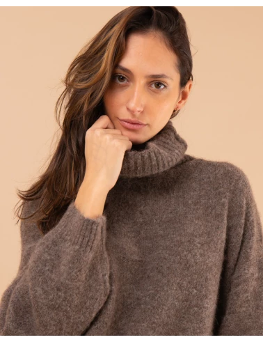 Pull col roulé laine