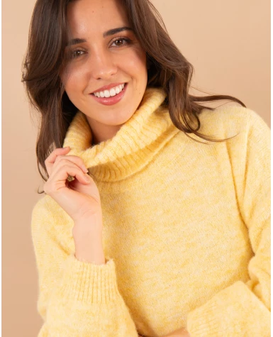 Pull col roulé laine