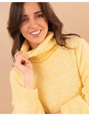 Pull col roulé laine