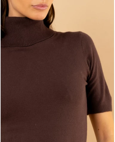 Pull col roulé manches courtes