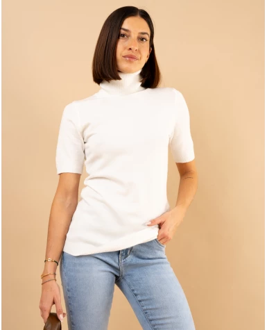 Pull col roulé manches courtes