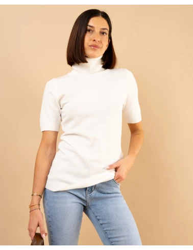 Pull col roulé manches courtes