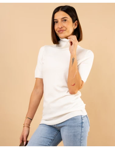 Pull col roulé manches courtes