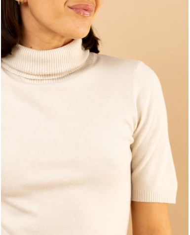 Pull col roulé manches courtes