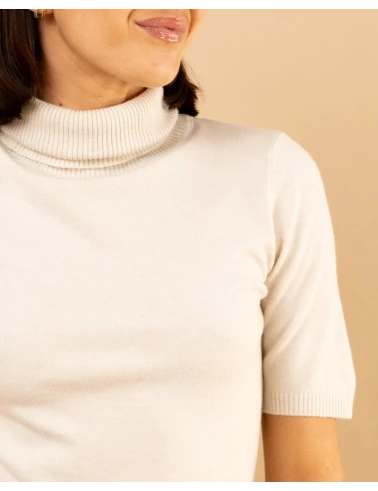 Pull col roulé manches courtes