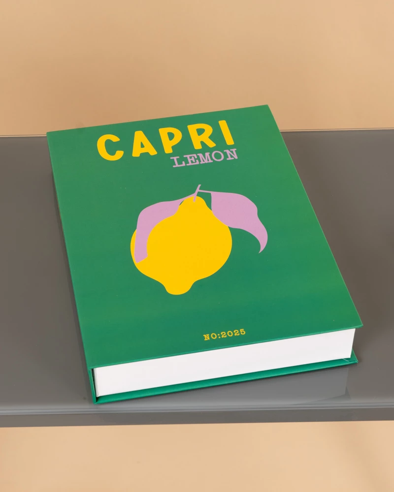 Livre décoratif