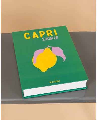 Livre décoratif