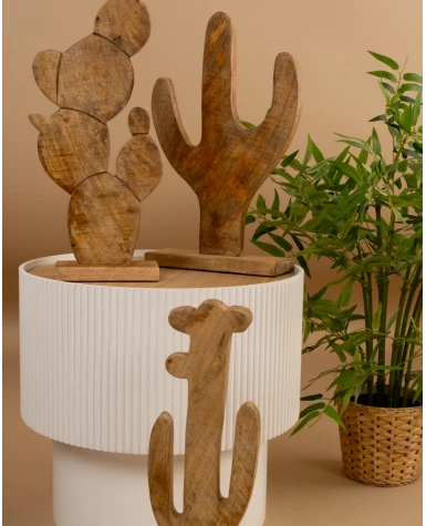 Cactus 3 branches