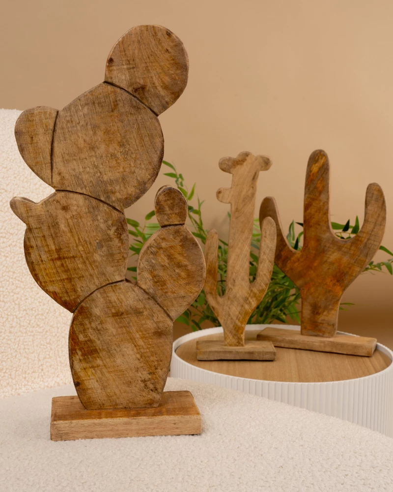 Cactus boules
