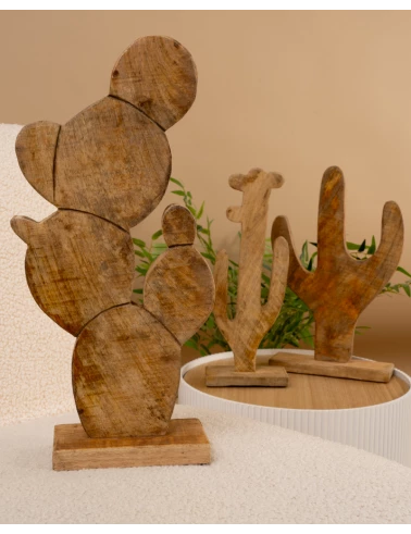 Cactus boules