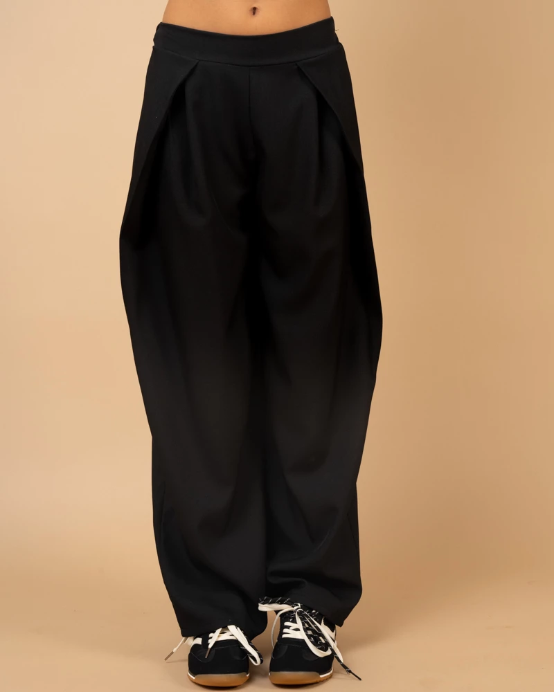 Pantalon pinces