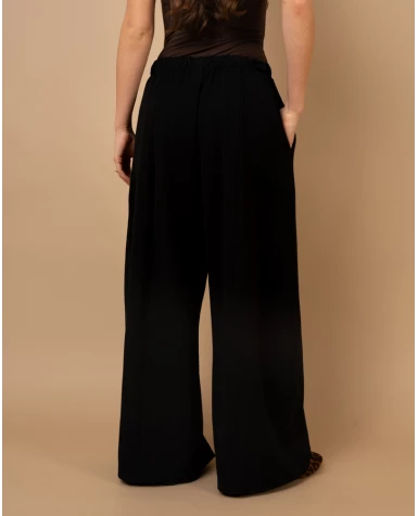 Pantalon pinces